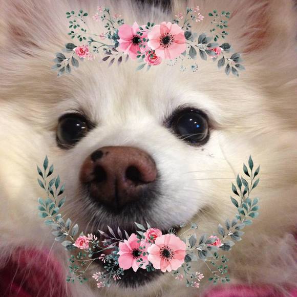 amoremimissy12